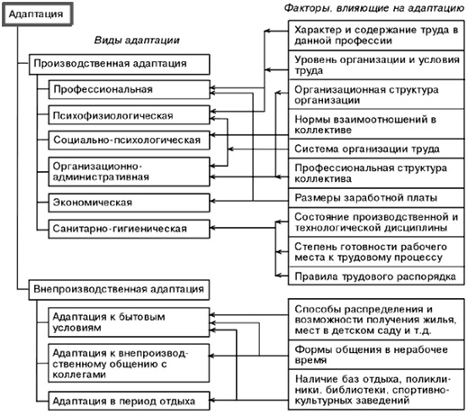 Дипломная работа: Разработка проекта повышения эффективности системы адаптации персонала